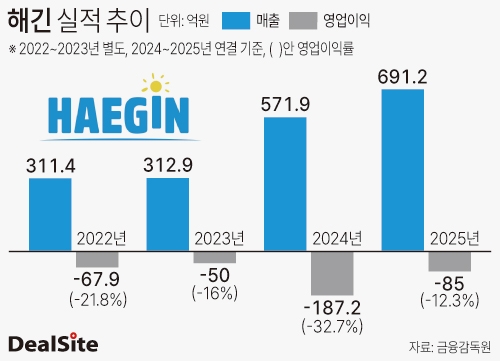 해긴 매출 및 손익 지표 조은지.jpg