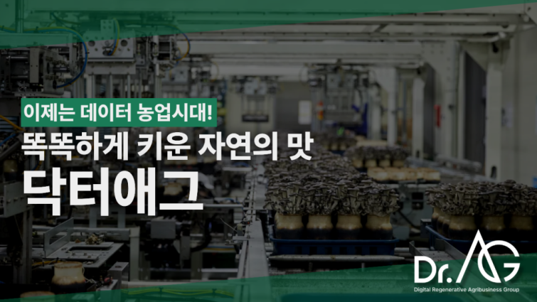 닥터애그.png