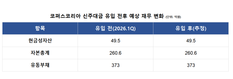 법원 문턱 넘은 코퍼스코리아...최대주주 교체 '재시동' - 뉴스 썸네일 이미지