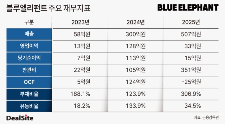 블루엘리펀트 실적 및 주요 재무지표.jpg