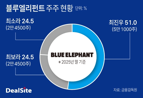 블루엘리펀트 주주 현황.jpg