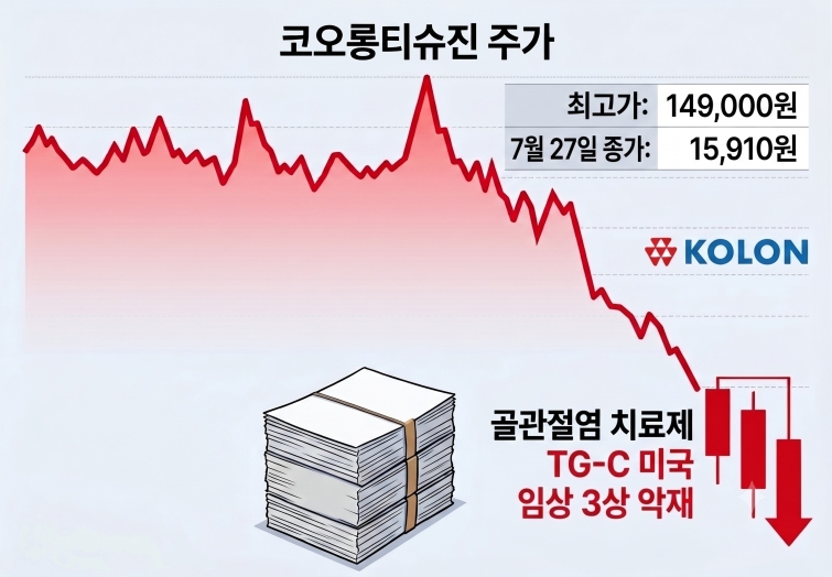 티슈진 90% 폭락에...스틱-스톤브릿지 풋옵션 예열 - 뉴스 썸네일 이미지