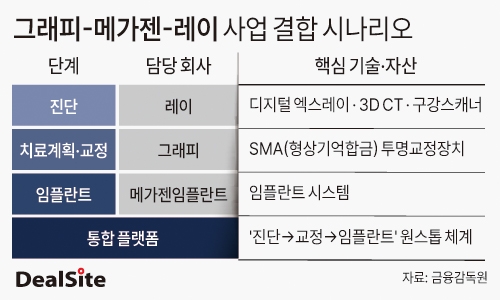 그래피-메가젠-레이 사업 결합 시나리오 딜사민승기 복사.jpg