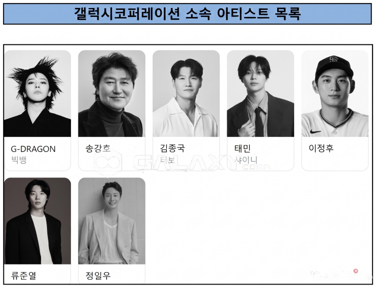 갤럭시코퍼레이션 소속 아티스트..png