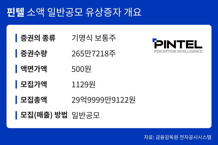 핀텔_소액일반공모_유상증자개요.png